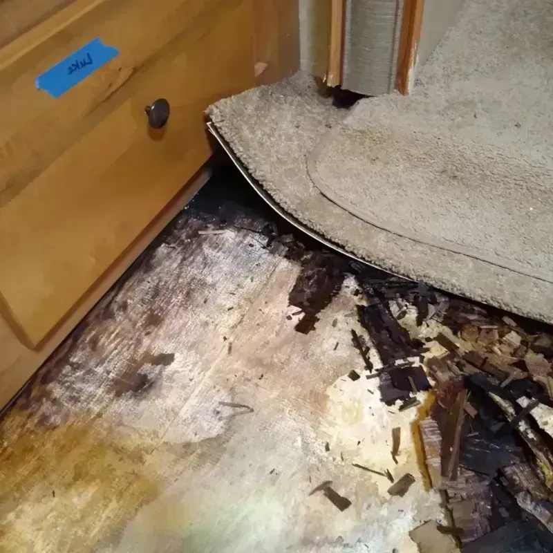 Wood Floor Water Damage in Rockfish, NC